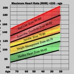 Fat Burning vs Carb Burning