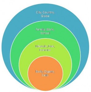 Systems Approach to Health