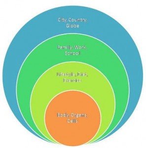 Systems Approach to Health